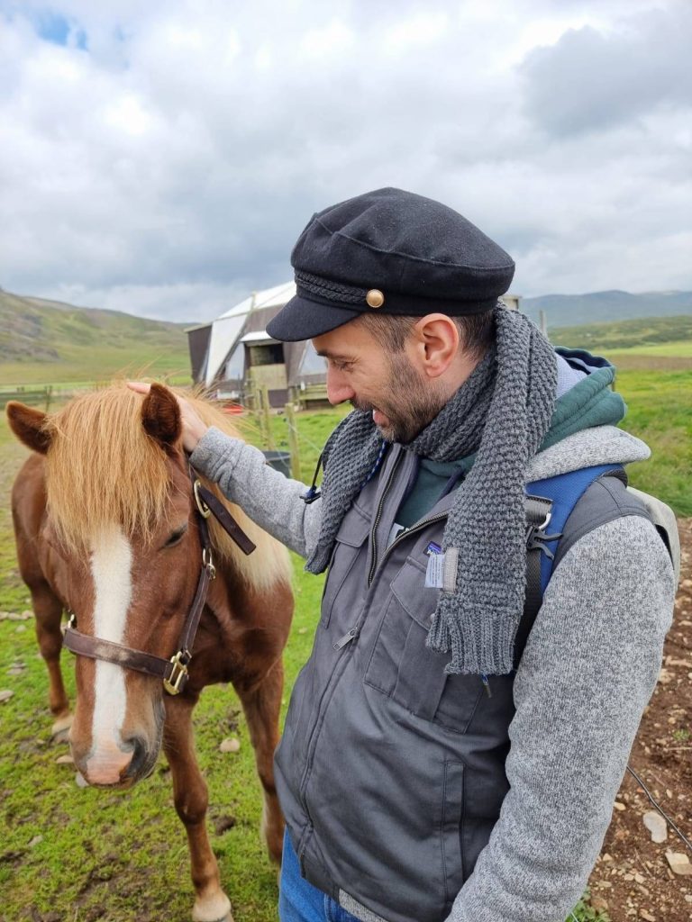 Cavalli islandesi